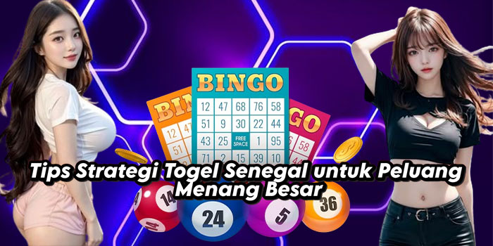 Tips Strategi Togel Senegal untuk Peluang Menang Besar